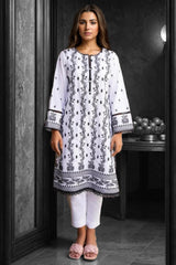 2 Pc Chikankari Stitched Suit - Prime Point Store