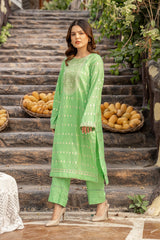 2 Pc Cotton Jacquard Embroidered Stitched Suit - Prime Point Store