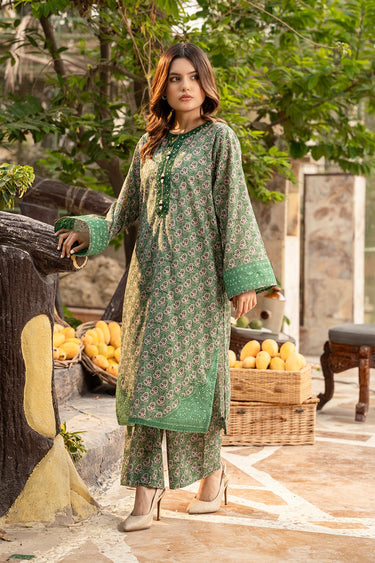 2 Pc Cotton Lawn Printed Stitched Suit - Prime Point Store