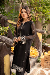 2 Pc Embroidered Chiffon Stitched Suit - Prime Point Store