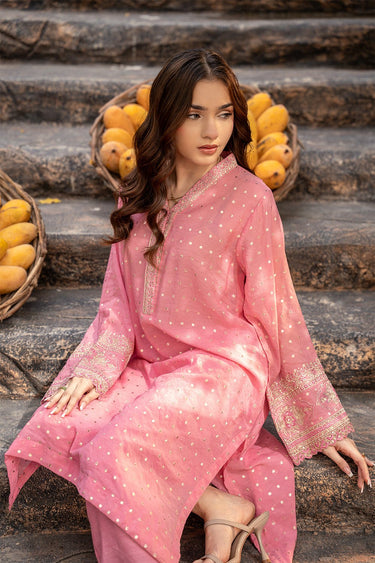 2 Pc Jacquard Embroidered Stitched Suit - Prime Point Store