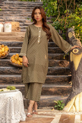 2 Pc Lawn Printed Stitched Suit - Prime Point Store