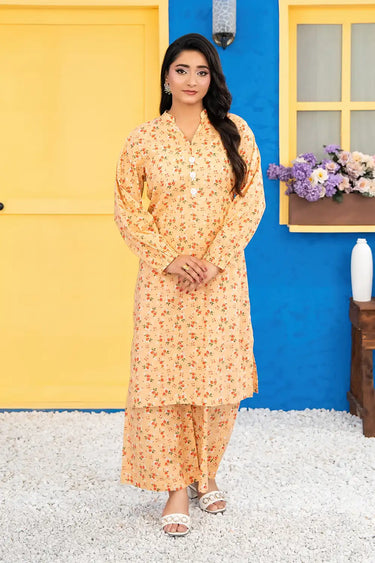 2 Piece - Printed Lawn Suit