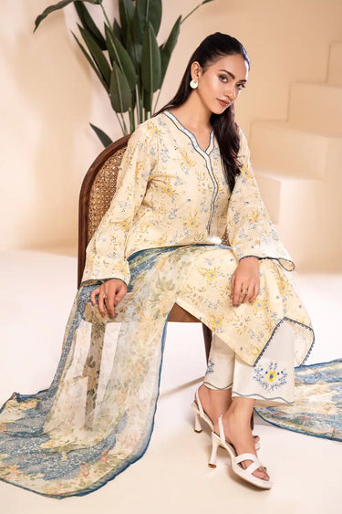 3 Piece - Embroidered Chikankari Suit