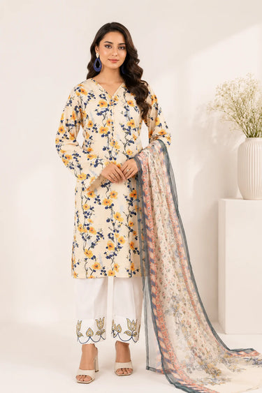 3 Piece - Printed Chikankari Suit