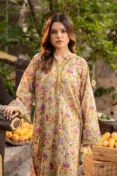 2 Piece - Printed Lawn Suit