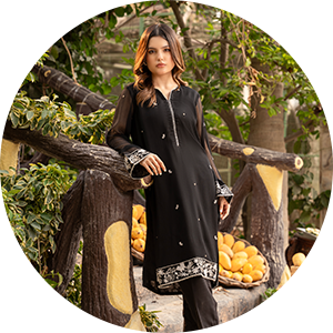 Ready To Wear Embroidered - Prime Point Store