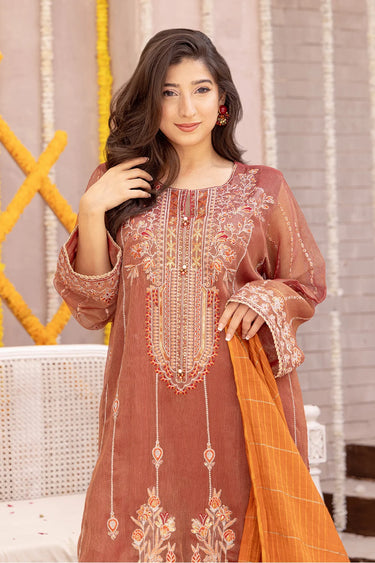 3 Piece - Embroidered Zari Net Suit