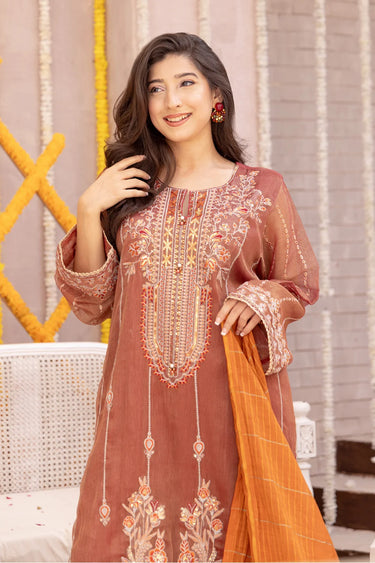 3 Piece - Embroidered Zari Net Suit