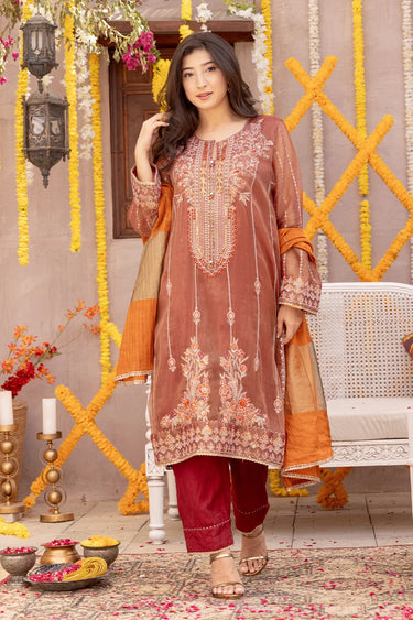 3 Piece - Embroidered Zari Net Suit