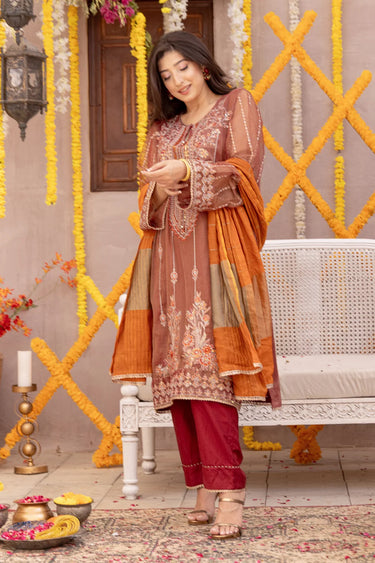 3 Piece - Embroidered Zari Net Suit