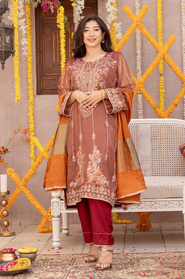 3 Piece - Embroidered Zari Net Suit