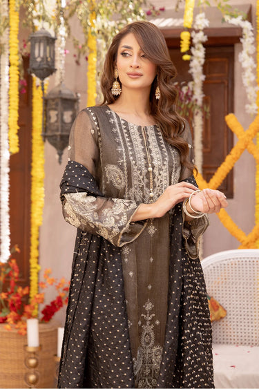 3 Piece - Embroidered Zari Net Suit