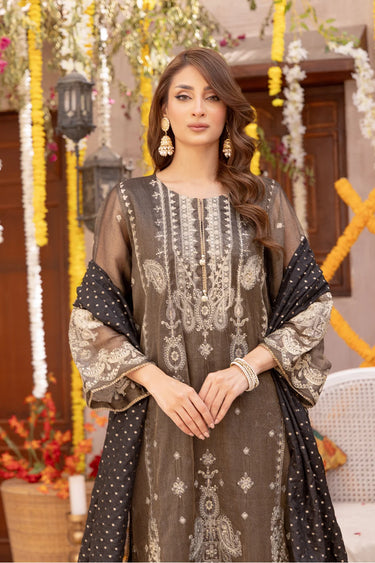 3 Piece - Embroidered Zari Net Suit