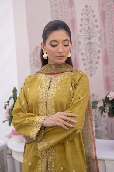 3 Piece - Dobby Embroidered Suit