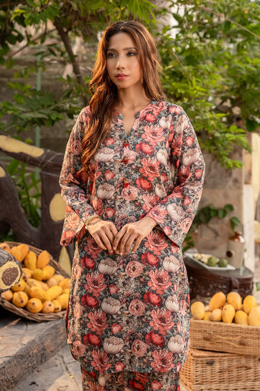 2 Piece - Printed Lawn Suit