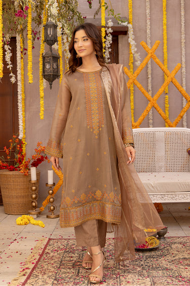 3 Piece - Embroidered Zari Net Suit