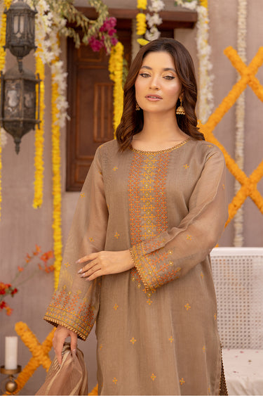 3 Piece - Embroidered Zari Net Suit