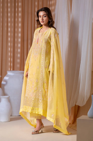 3-Piece Embroidered Khaddi Net Suit