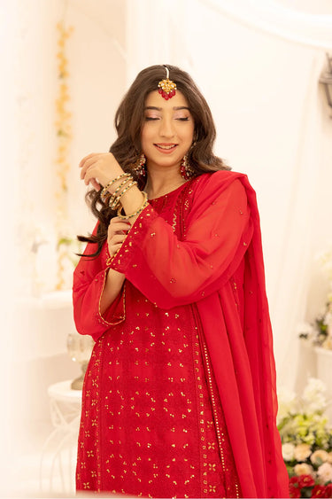 3 Piece - Embroidered Chiffon Suit
