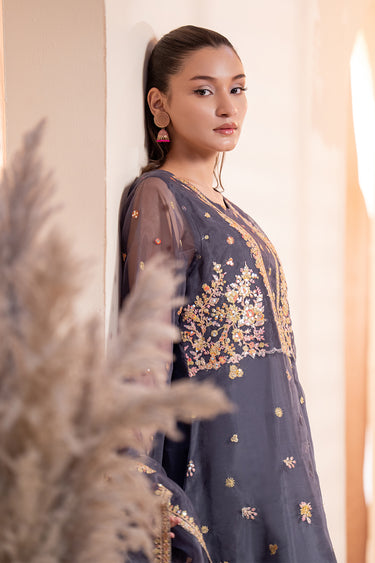 3 Piece - Embroidered Organza Suit