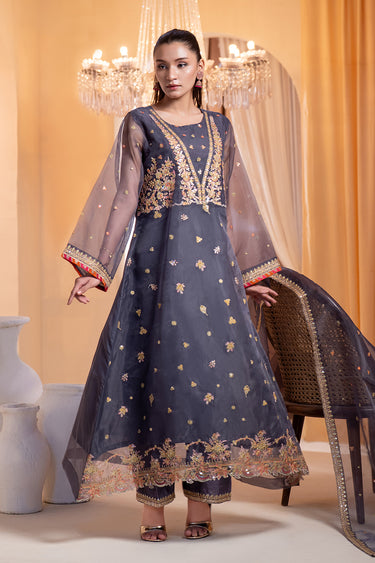 3 Piece - Embroidered Organza Suit