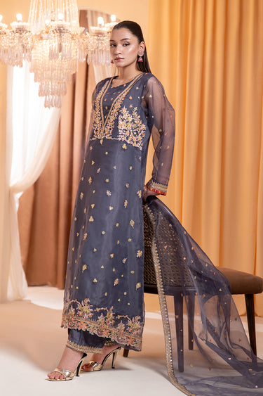3 Piece - Embroidered Organza Suit