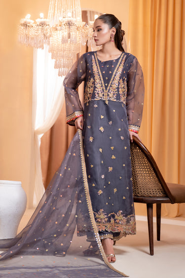 3 Piece - Embroidered Organza Suit