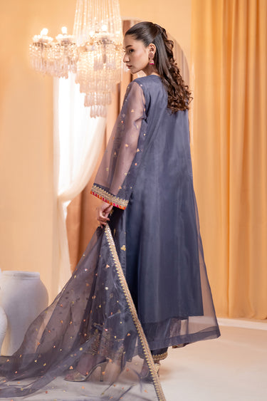 3 Piece - Embroidered Organza Suit