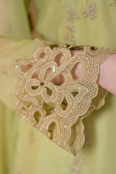 3-Piece Embroidered Chiffon Suit