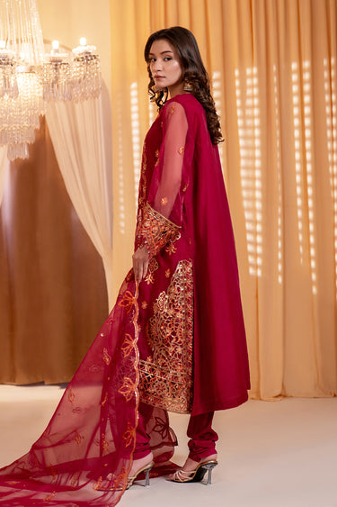 3 Piece - Embroidered Organza Suit