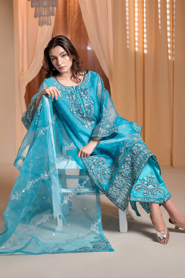 3 Piece - Embroidered Organza Suit