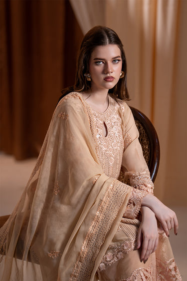 3-Piece Embroidered Chiffon Suit