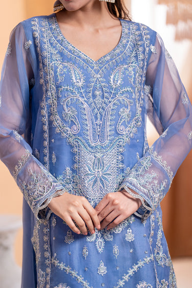 3 Piece - Embroidered Organza Suit