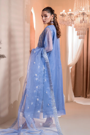 3 Piece - Embroidered Organza Suit