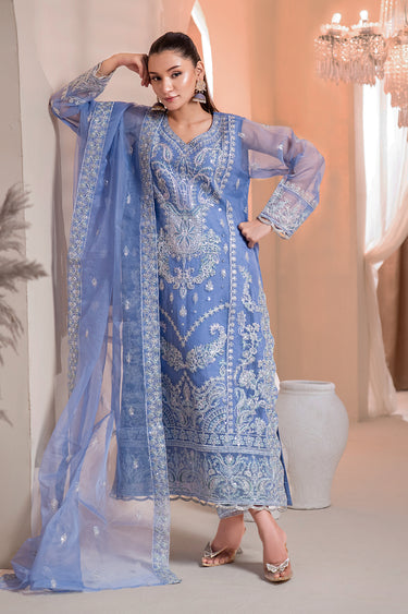 3 Piece - Embroidered Organza Suit
