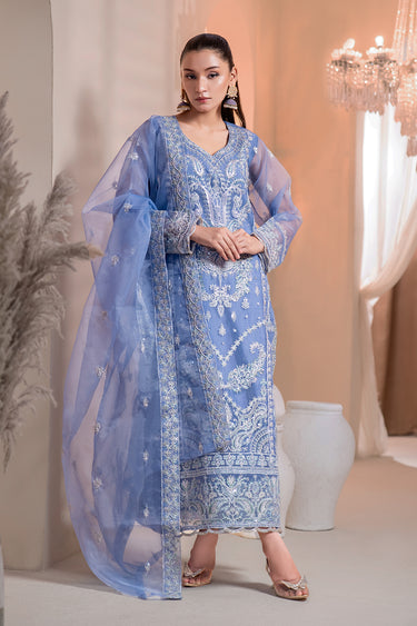 3 Piece - Embroidered Organza Suit