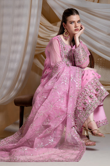 3 Piece - Embroidered Organza Suit