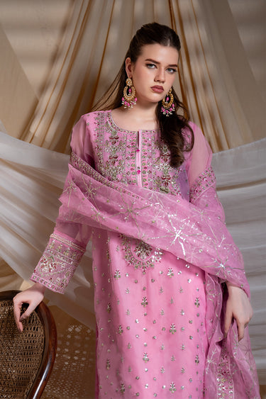 3 Piece - Embroidered Organza Suit