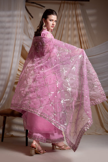 3 Piece - Embroidered Organza Suit
