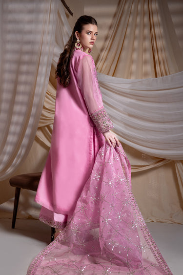3 Piece - Embroidered Organza Suit