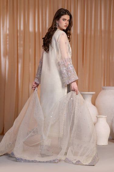 3 Piece - Embroidered Organza Suit