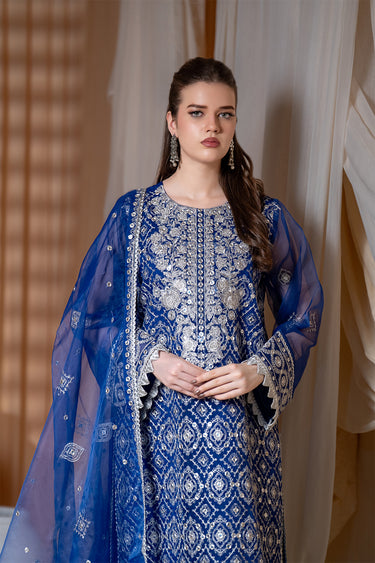 3 Piece - Embroidered Organza Suit