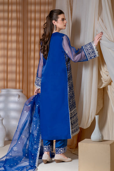 3 Piece - Embroidered Organza Suit