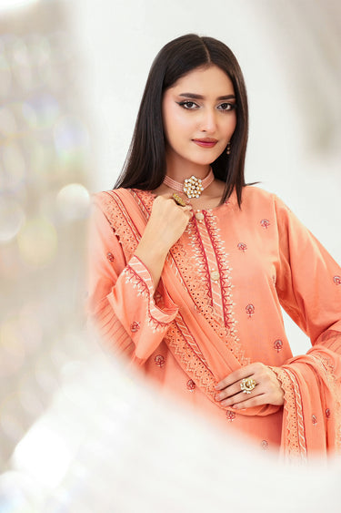 3 Piece - Embroidered Lawn Suit