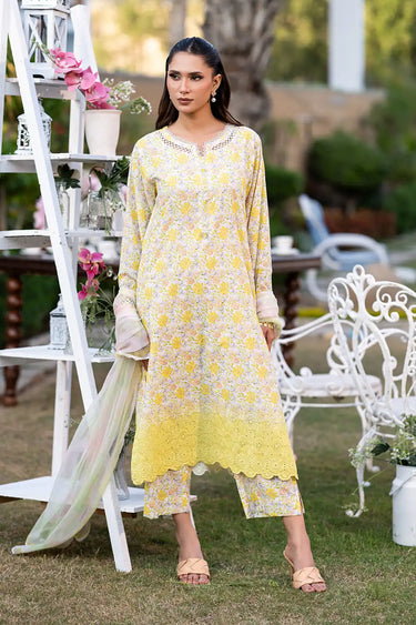 3 Piece - Embroidered Printkari Suit