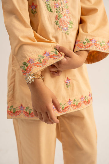 2 Pc Cambric Dyed Embroidered Suit For Girl - Prime Point Store