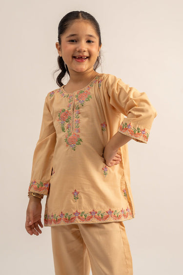 2 Pc Cambric Dyed Embroidered Suit For Girl - Prime Point Store