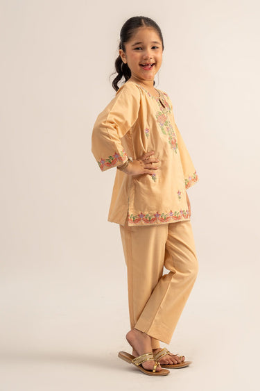 2 Pc Cambric Dyed Embroidered Suit For Girl - Prime Point Store