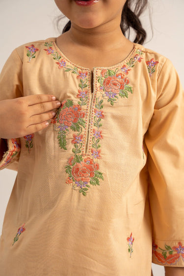 2 Pc Cambric Dyed Embroidered Suit For Girl - Prime Point Store